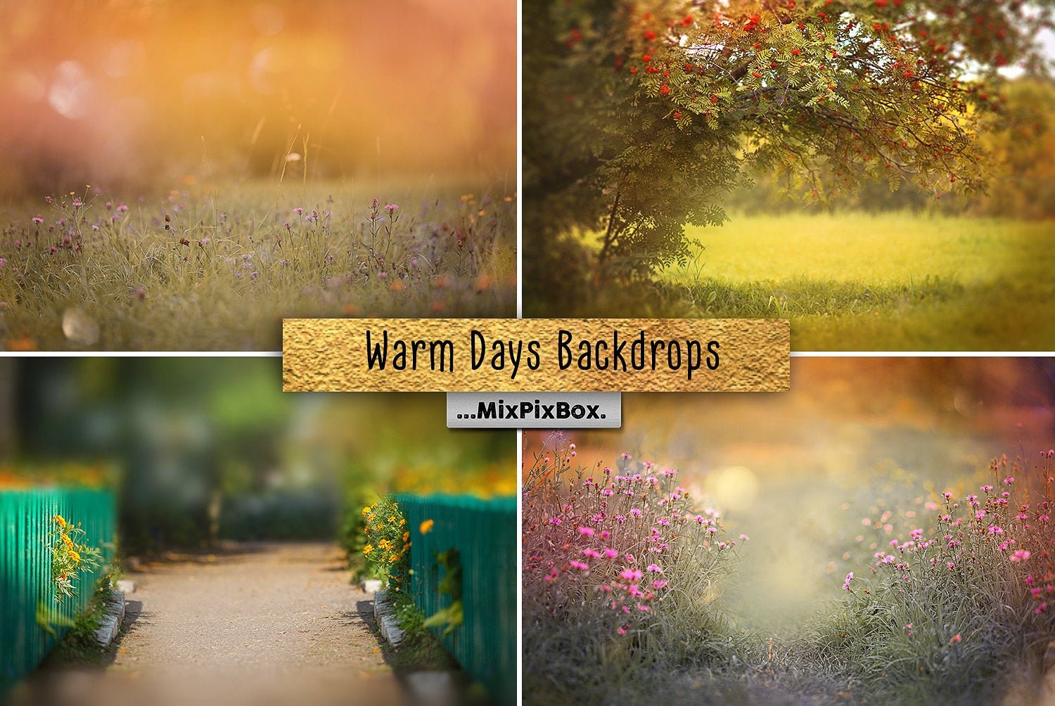 Warm Days Backdropcover image.