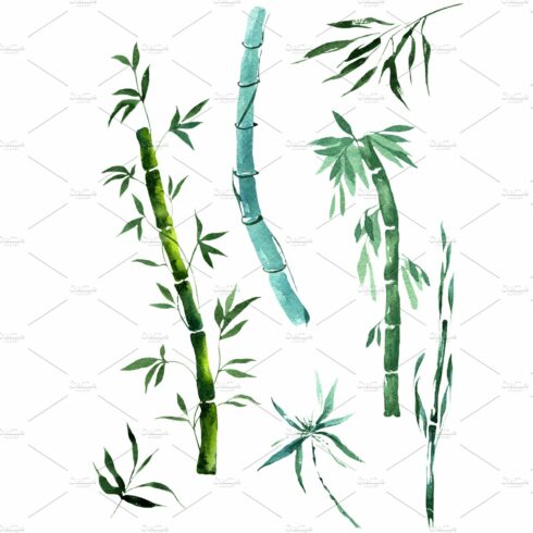 Exotic bamboo PNG watercolor set cover image.