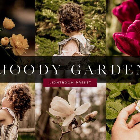 Moody Garden Lightroom Presetcover image.