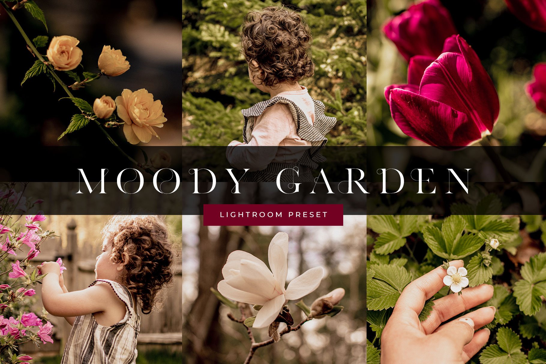 Moody Garden Lightroom Presetcover image.