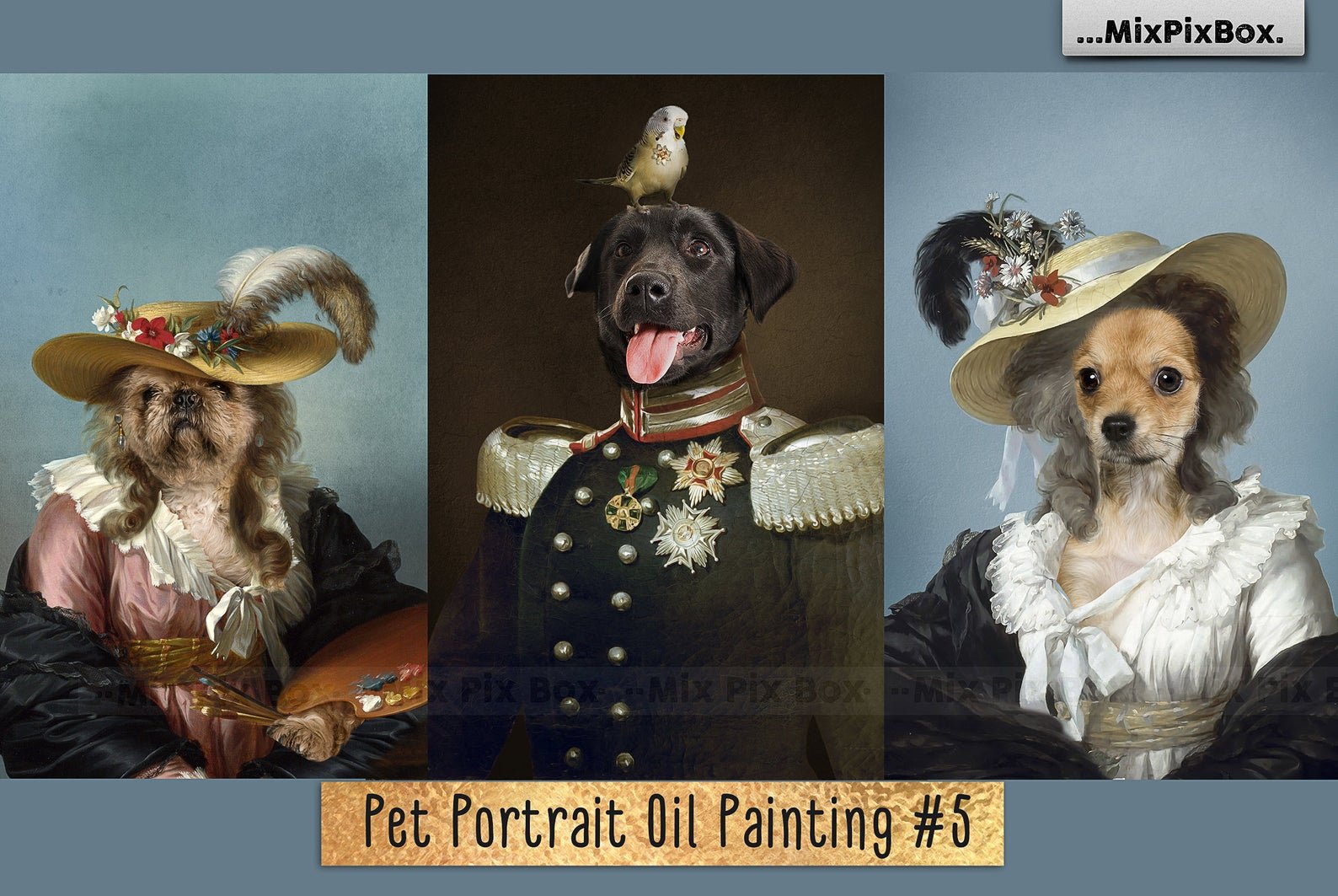 Pet Portrait Oil Background v.5cover image.