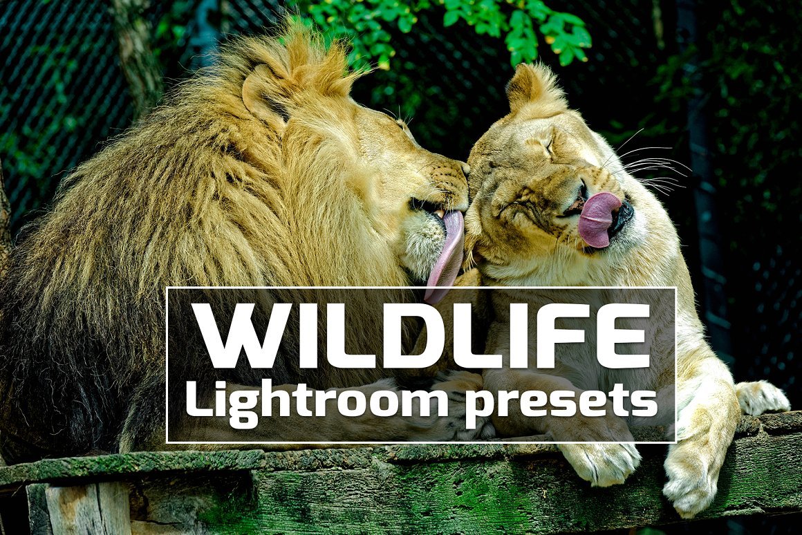 Wildlife Lightroom Presetscover image.