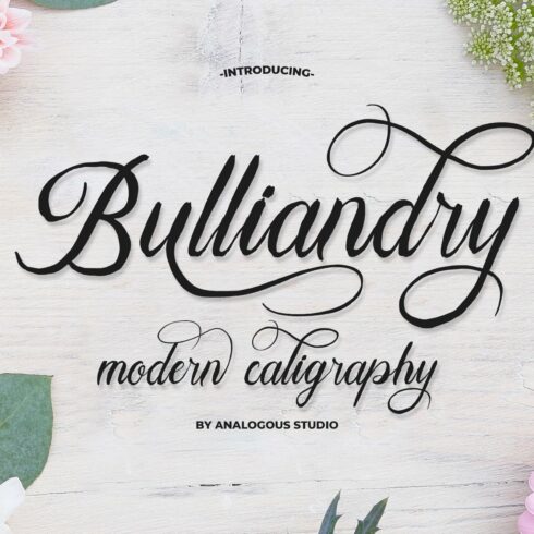 Bulliandry | Modern Calligraphy cover image.