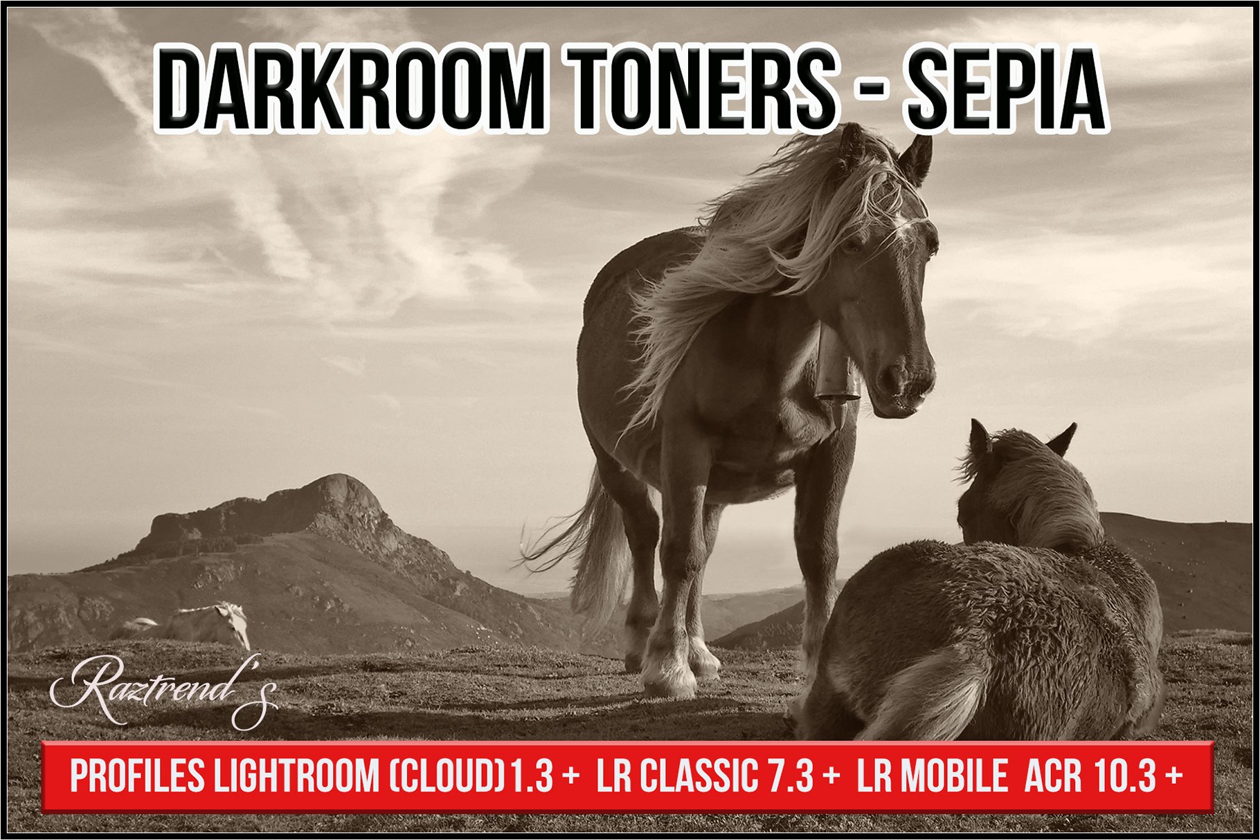 Darkroom Toners - Sepia Profilescover image.