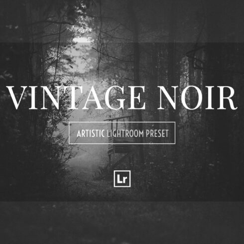 VINTAGE NOIR Lightroom Presetcover image.