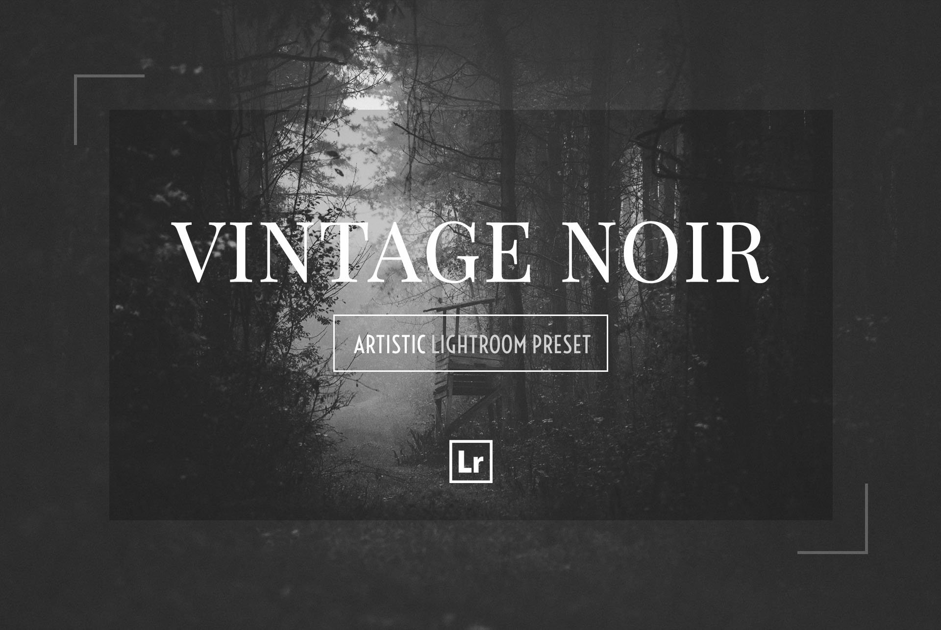 VINTAGE NOIR Lightroom Presetcover image.