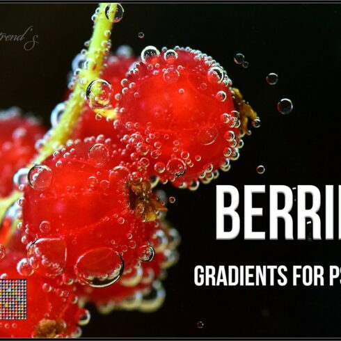 Berries Gradientscover image.