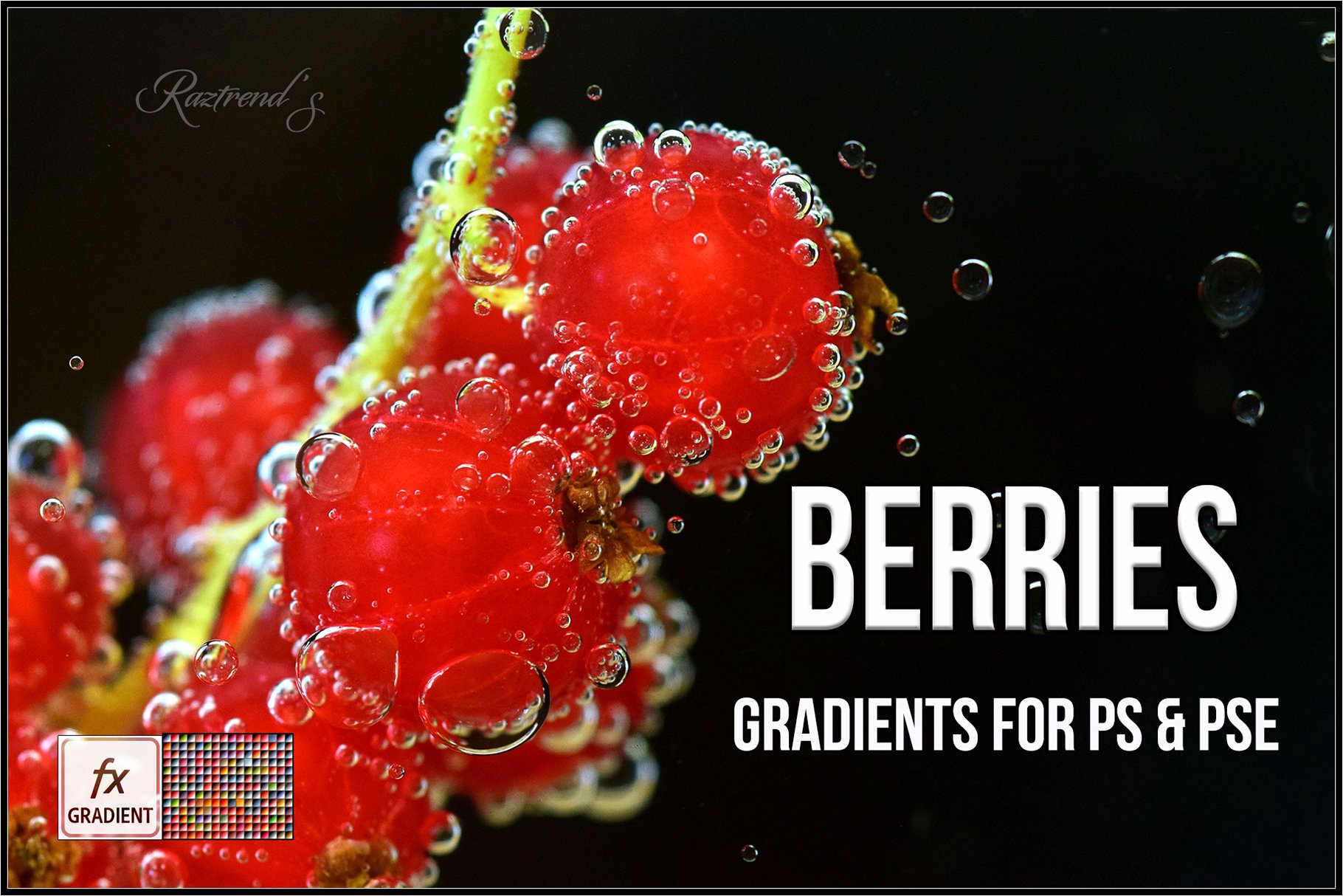 Berries Gradientscover image.