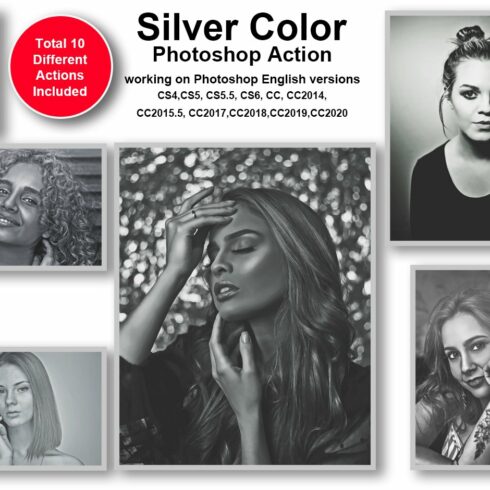 Silver Color Photoshop Actioncover image.