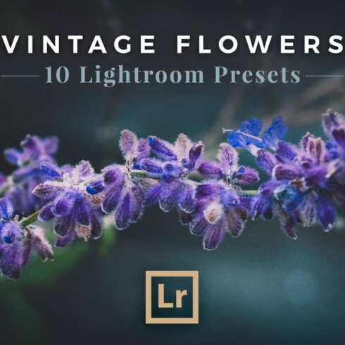 Vintage Flowers - Lightroom Presetscover image.