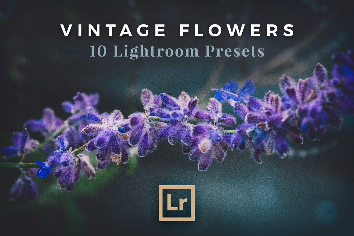 Vintage Flowers - Lightroom Presetscover image.