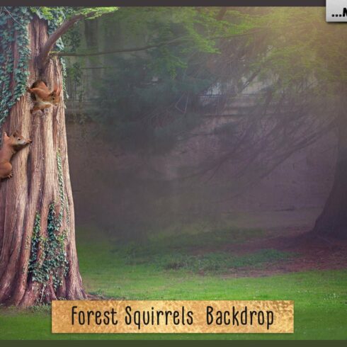 Forest Squirrels Backdropcover image.