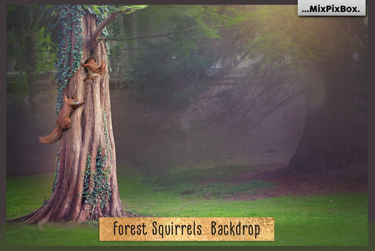 Forest Squirrels Backdropcover image.