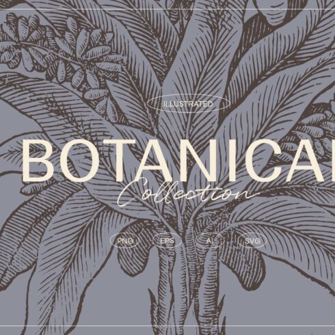 Botanical Collection cover image.