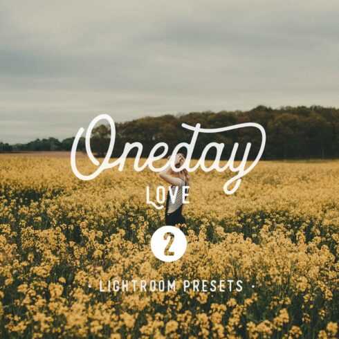 Oneday : Love vol.2 Lightroom presetcover image.