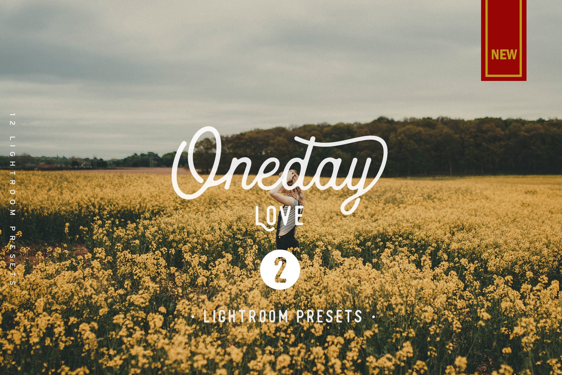 Oneday : Love vol.2 Lightroom presetcover image.