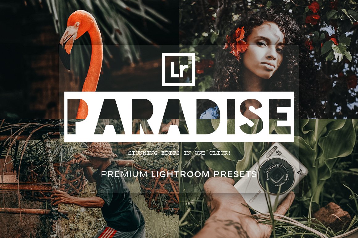 Paradise - Lightroom Presetscover image.