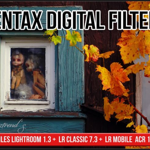 Pentax Digital Filterscover image.