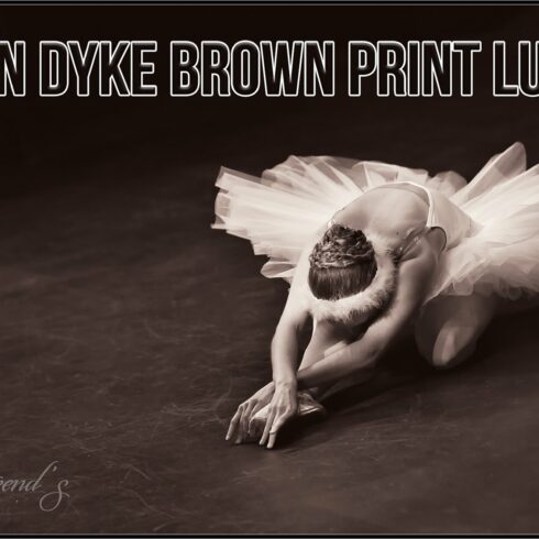 Van Dyke Brown Print LUTscover image.