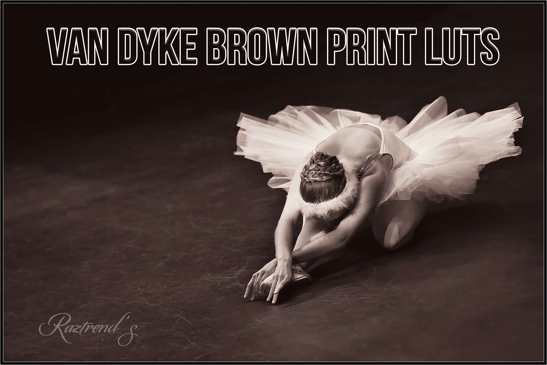 Van Dyke Brown Print LUTscover image.