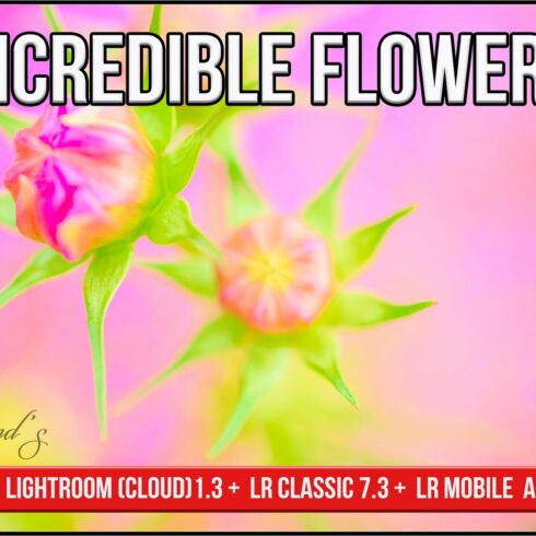 Incredible Flowers Profilescover image.