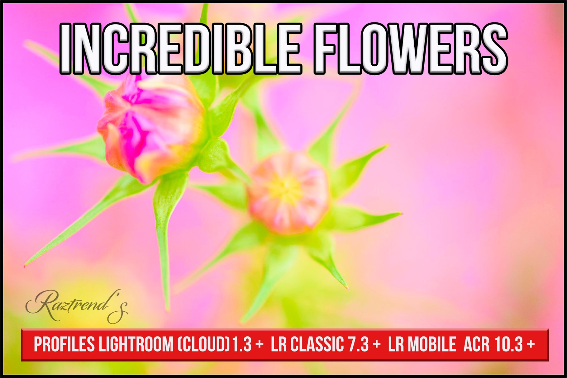 Incredible Flowers Profilescover image.