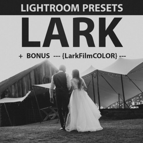 LARK LIGHTROOM PRESETScover image.