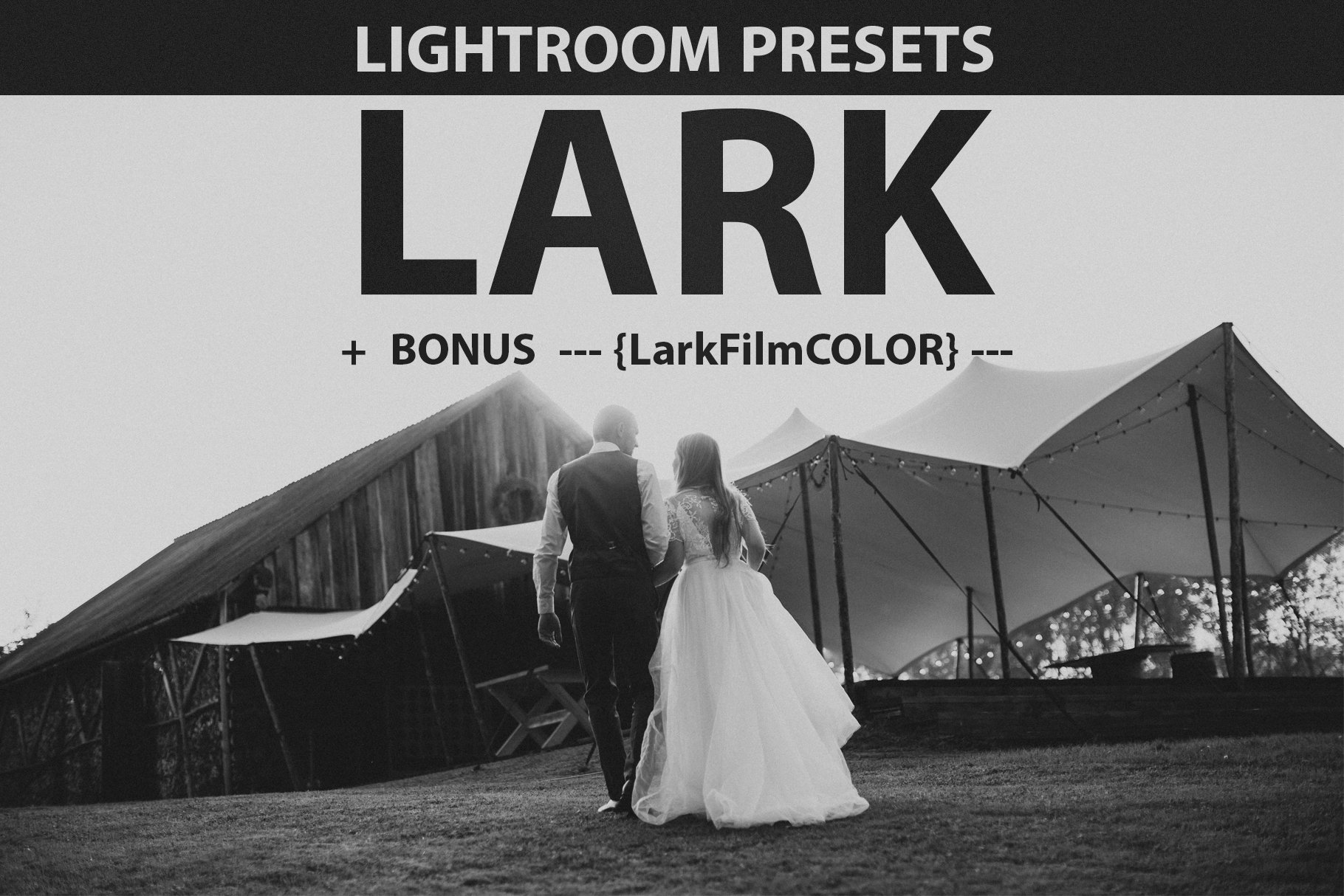 LARK LIGHTROOM PRESETScover image.