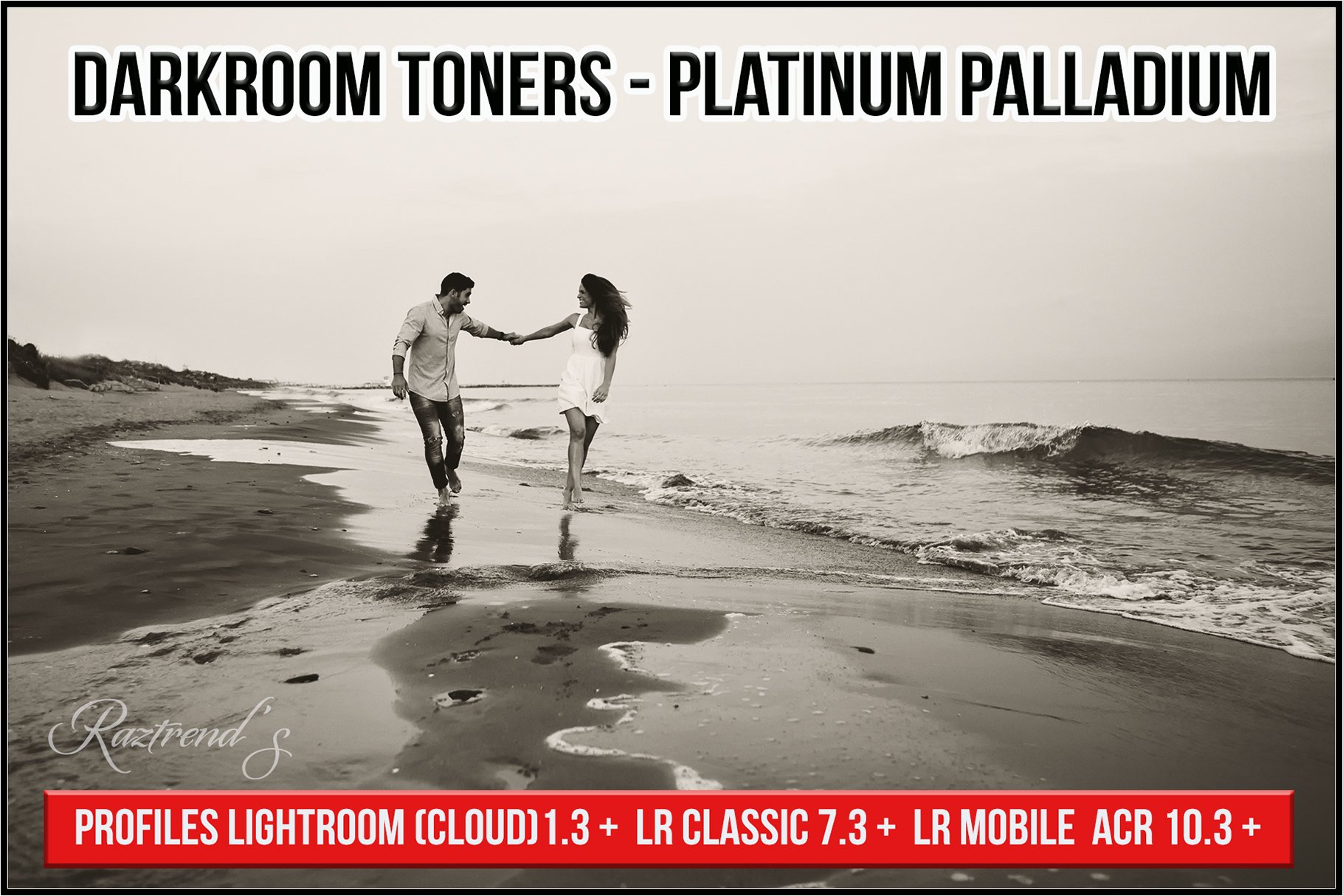 Darkroom Toners - Platinum Palladiumcover image.