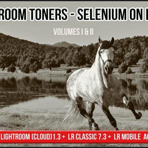 Darkroom Toners - Selenium on Papercover image.