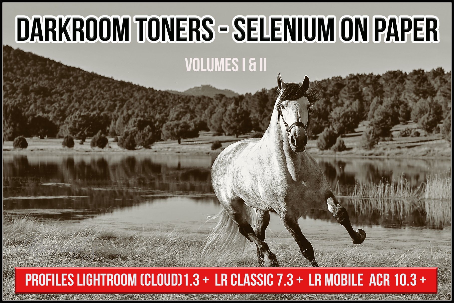 Darkroom Toners - Selenium on Papercover image.