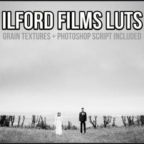 Ilford Films LUTscover image.