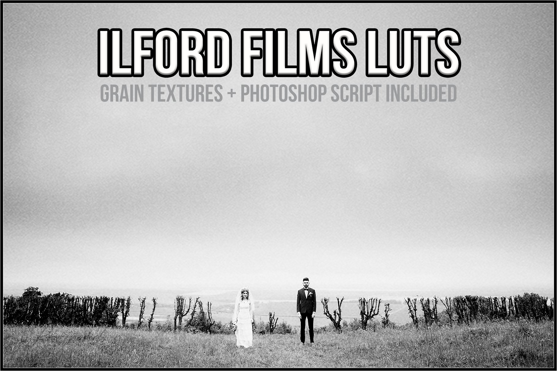 Ilford Films LUTscover image.