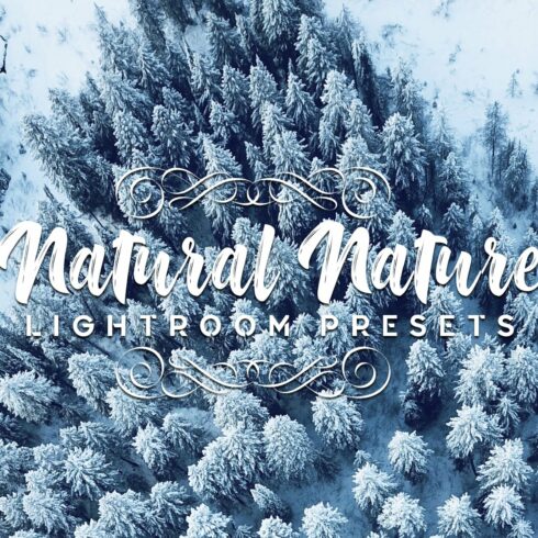 Natural Lightroom Presetscover image.