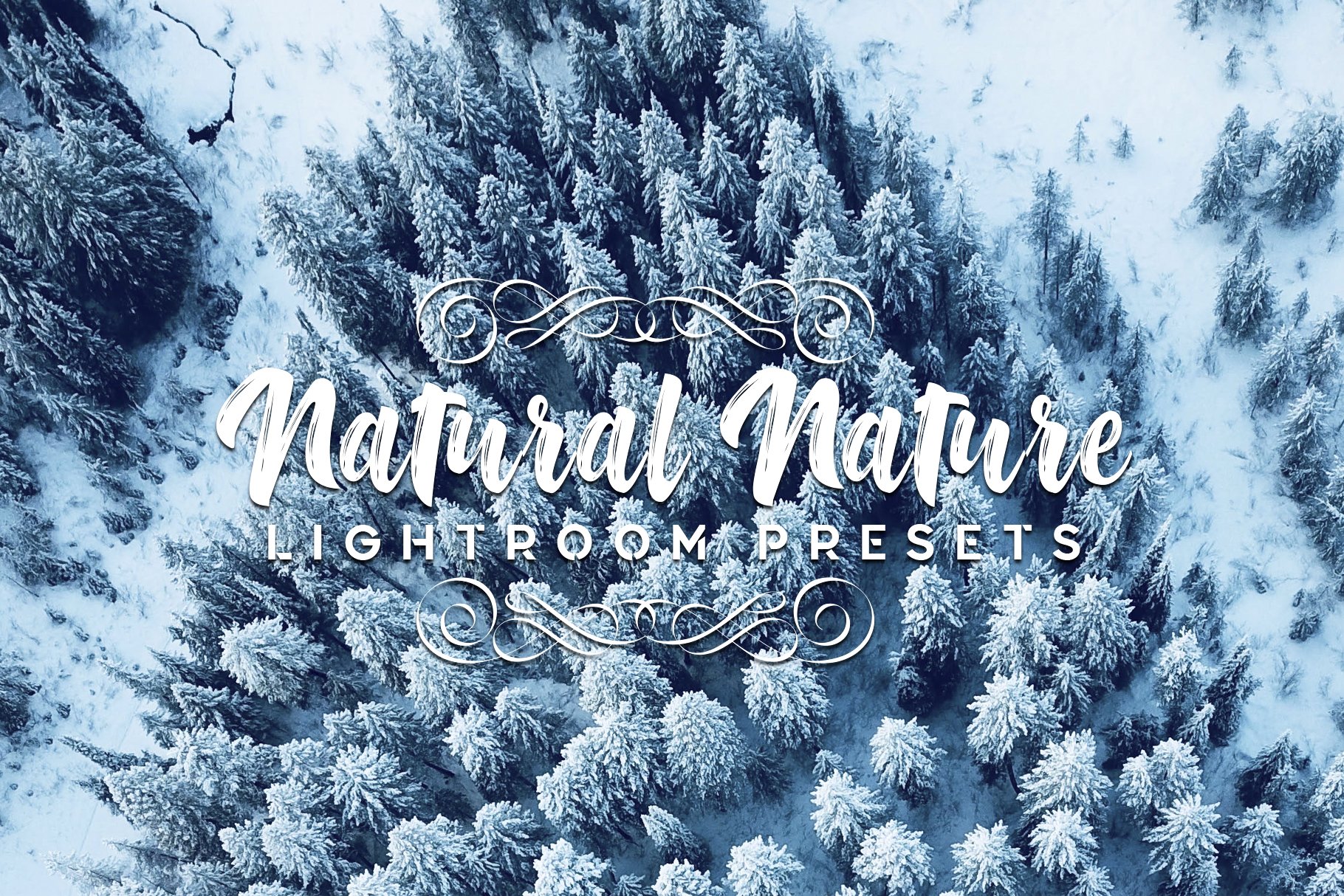 Natural Lightroom Presetscover image.