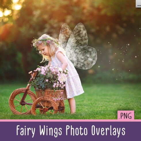 Fairy Wings Overlayscover image.