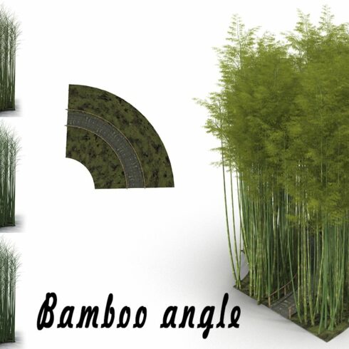 Bamboo corridor # 1 cover image.