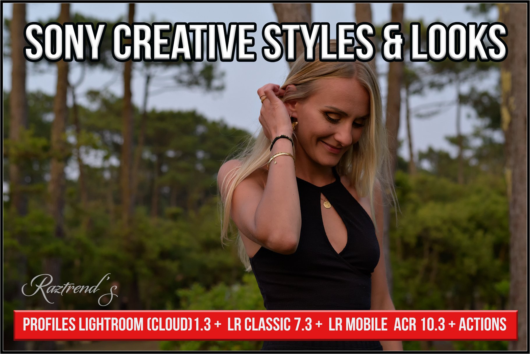Sony Creative Styles & Lookscover image.