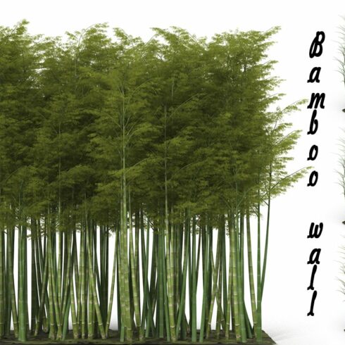Bamboo wall cover image.