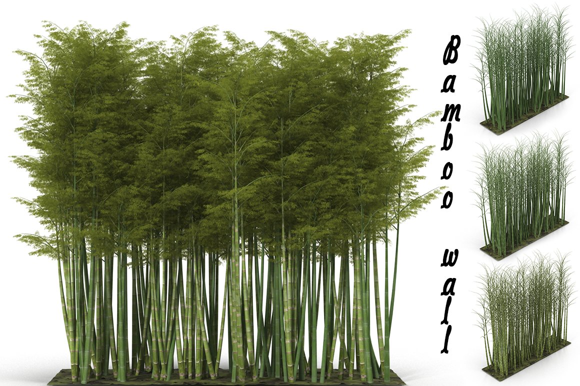 Bamboo wall cover image.