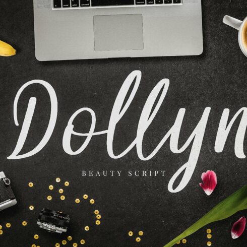 Dollyn Script - Casual Playful Font cover image.
