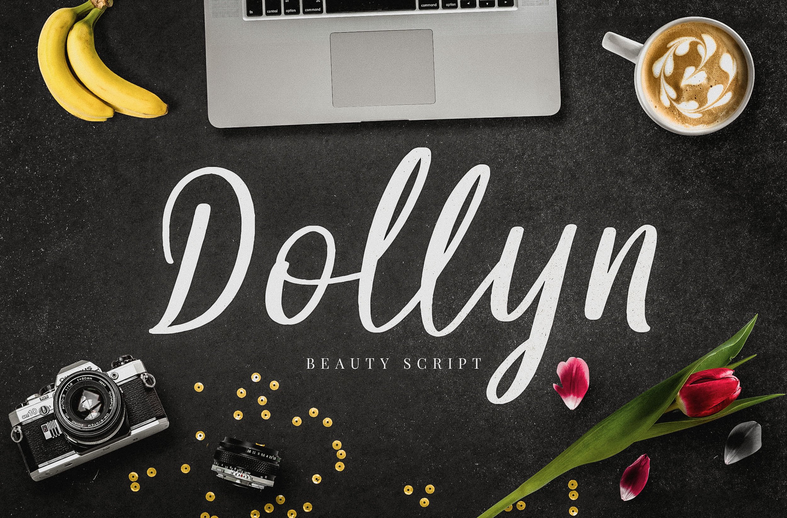 Dollyn Script - Casual Playful Font cover image.