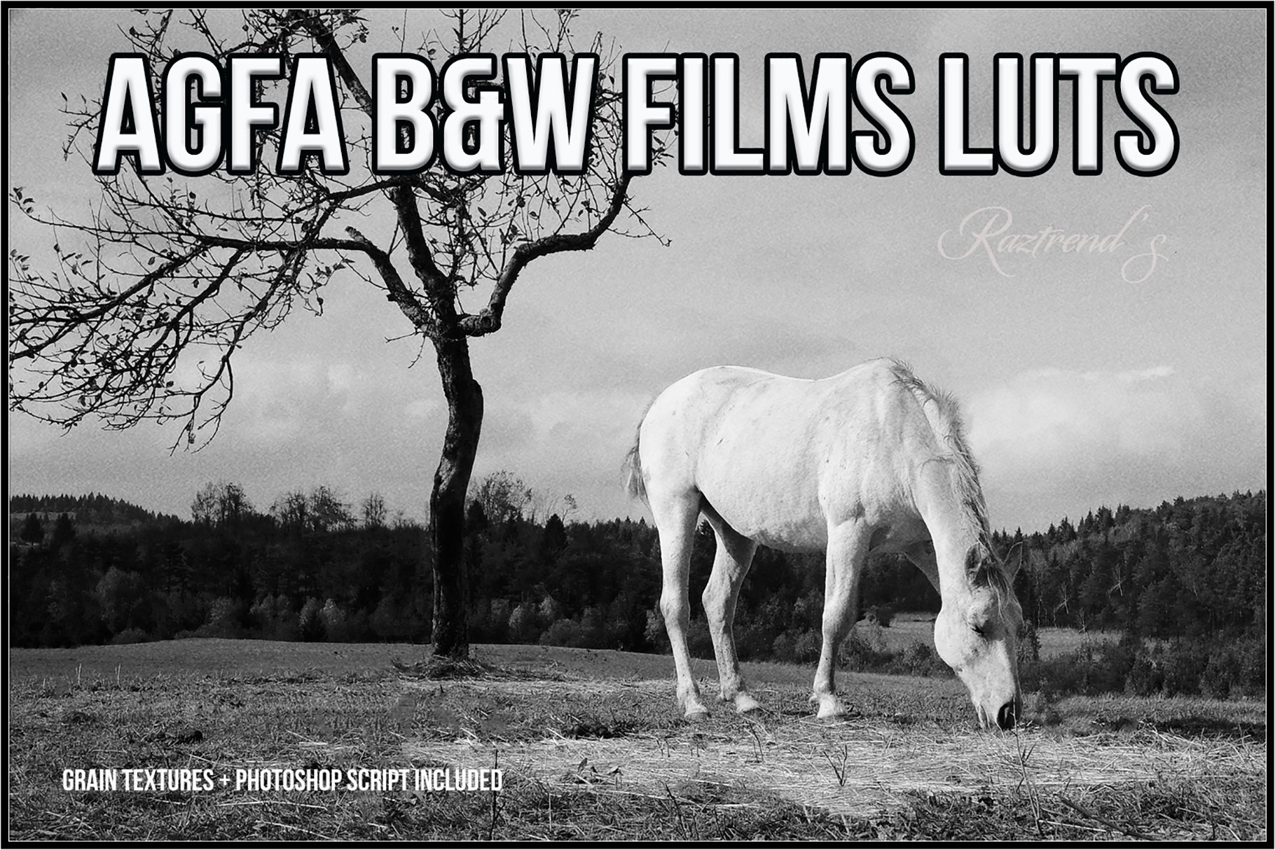 AGFA Black and White Film LUTscover image.