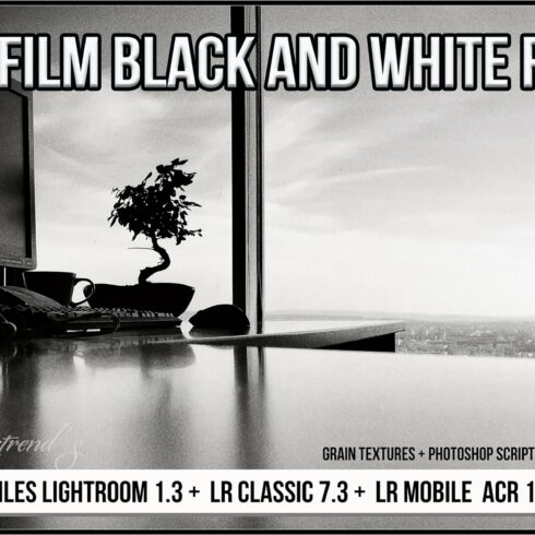 Fujifilm Black & White Film profilescover image.