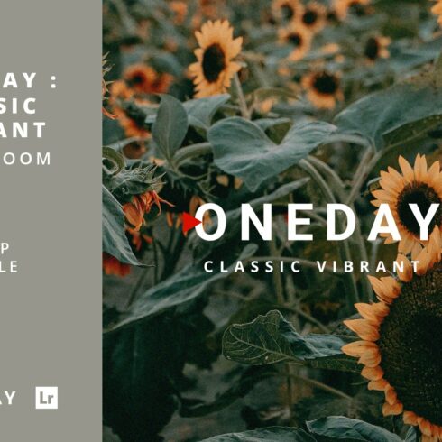 Oneday : Classic Vibrant Lr Presetcover image.