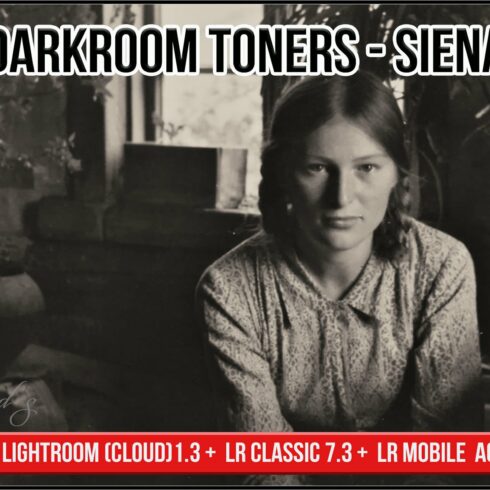 Darkroom Toners - Sienacover image.