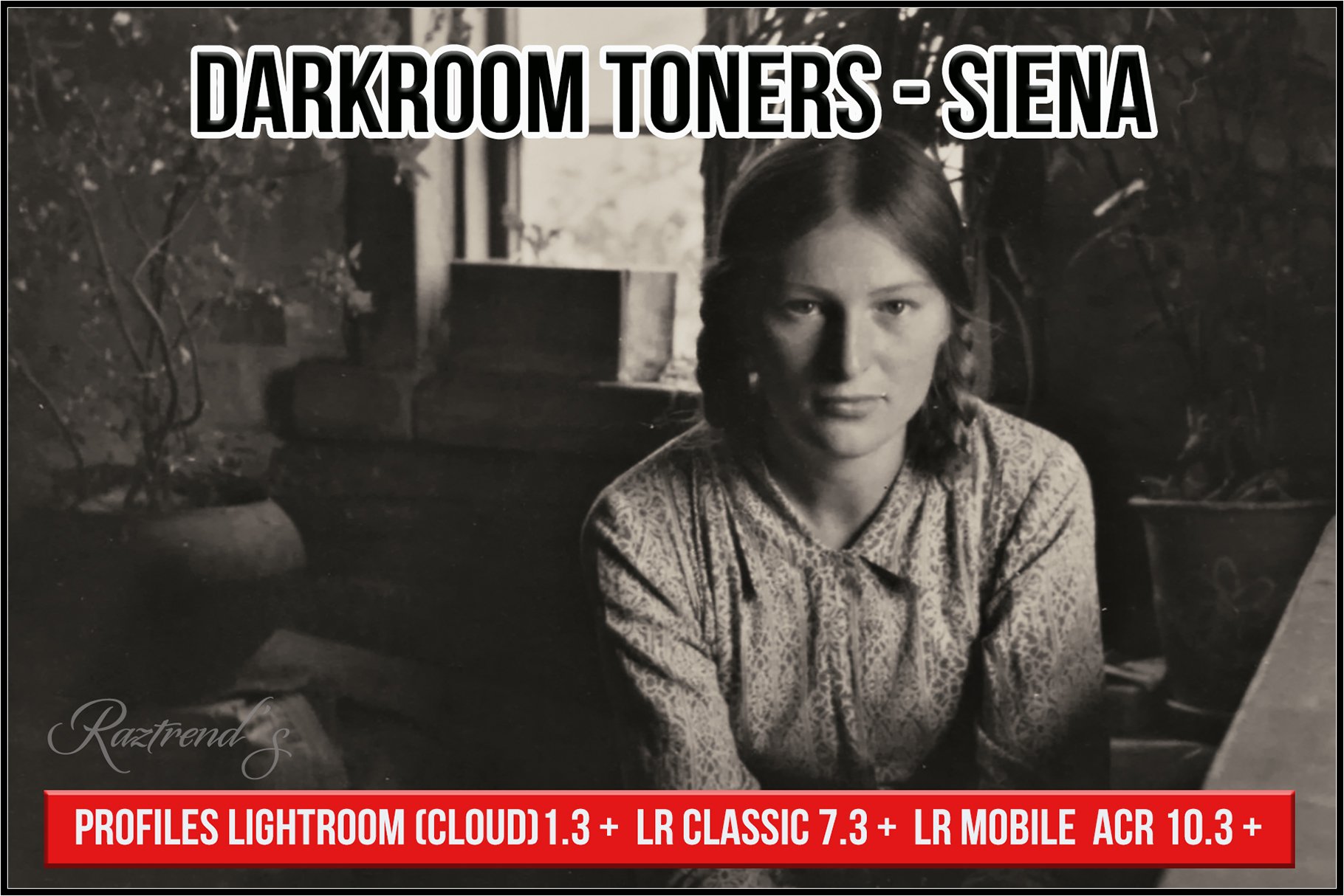 Darkroom Toners - Sienacover image.