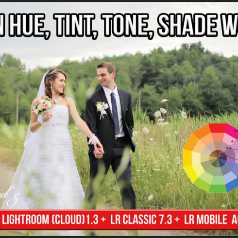 Itten Hue, Tint, Tone, Shade Workscover image.