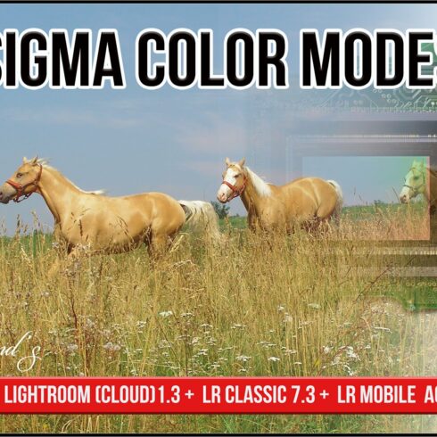 Sigma Color Modes profilescover image.