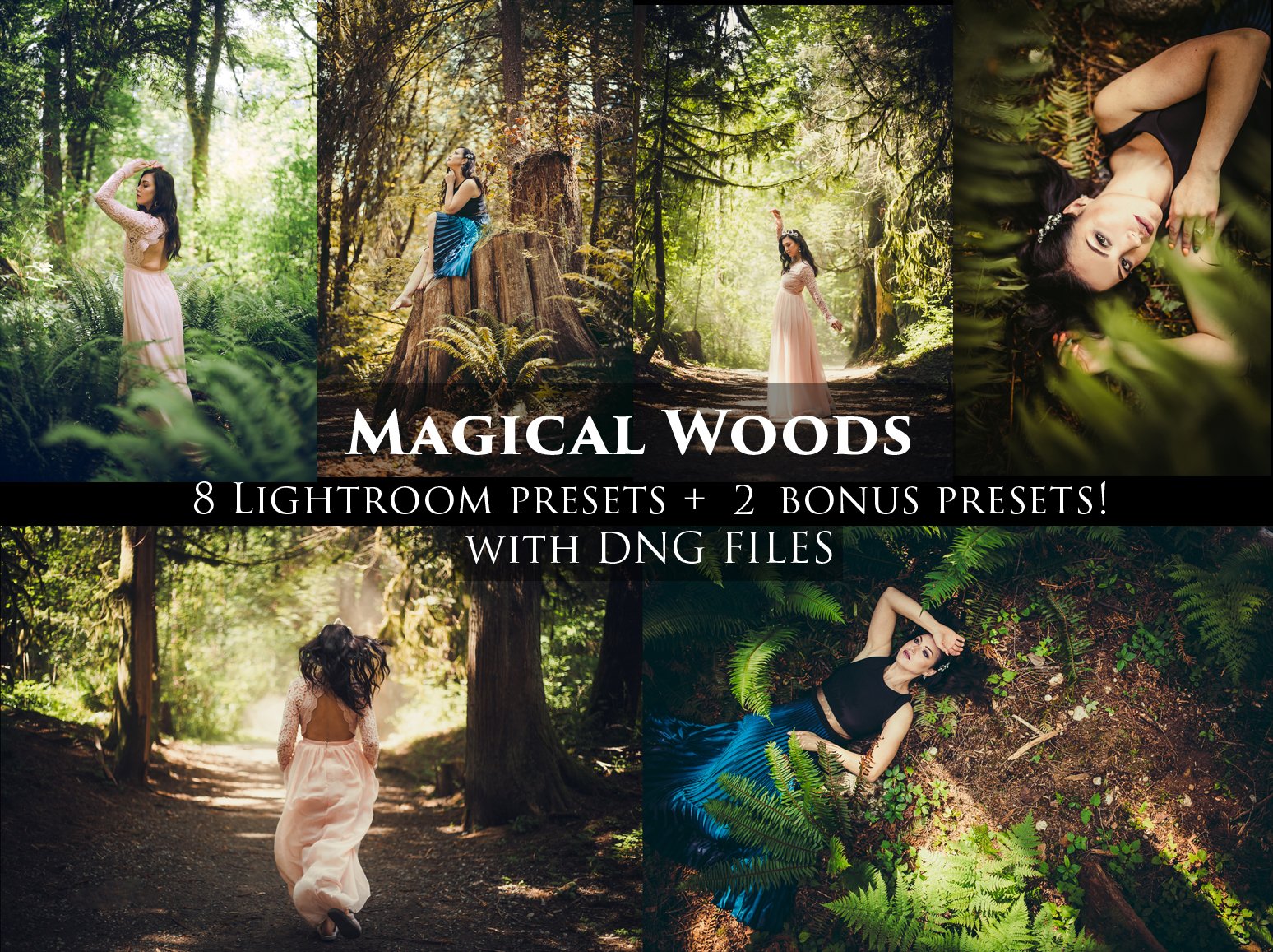 Magical Woods 10 Lightroom presetscover image.